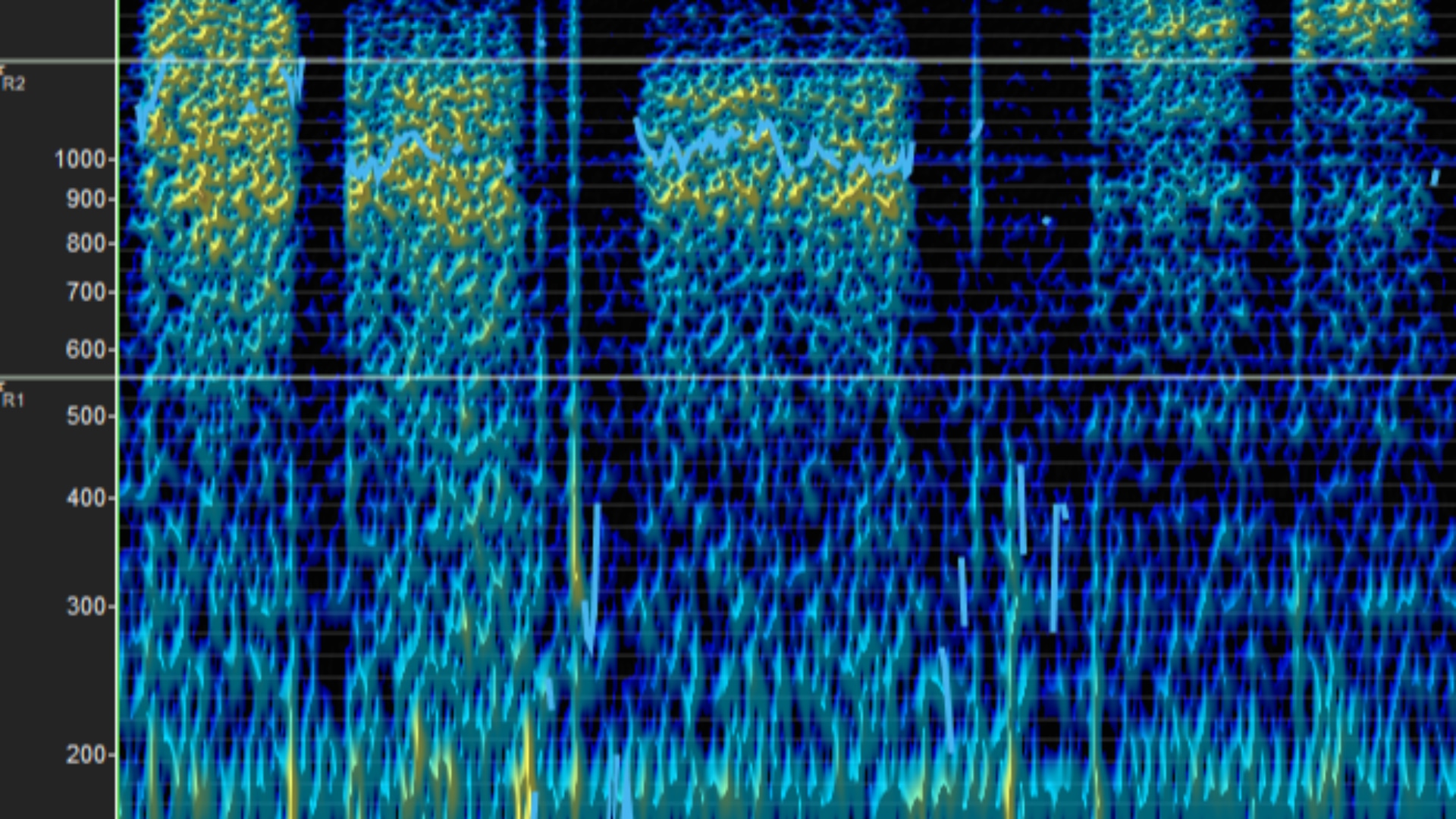 Bild i karusell på hemskärmen